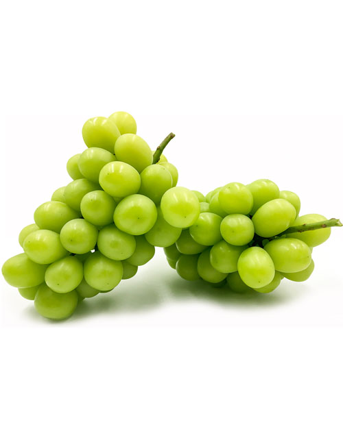 muscat-grape.png